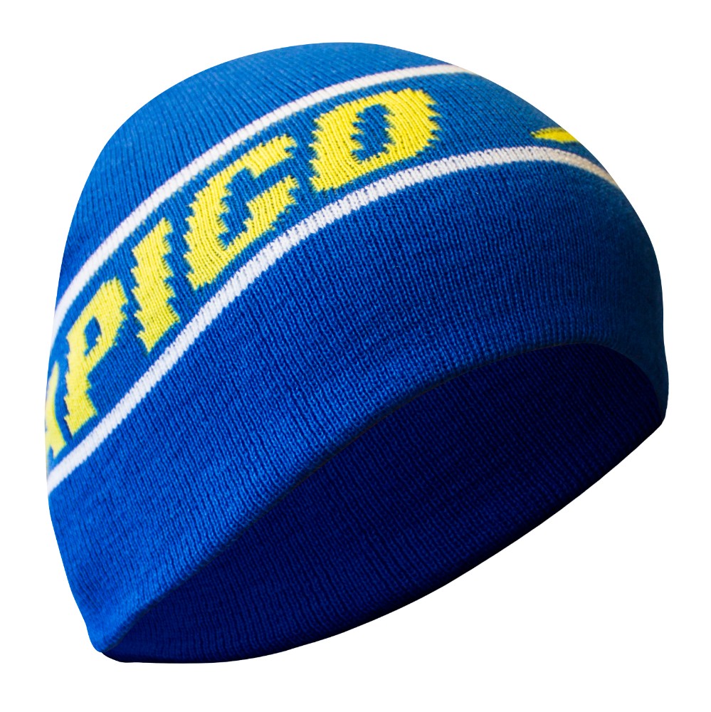 APICO FACTORY RACING BEANIE